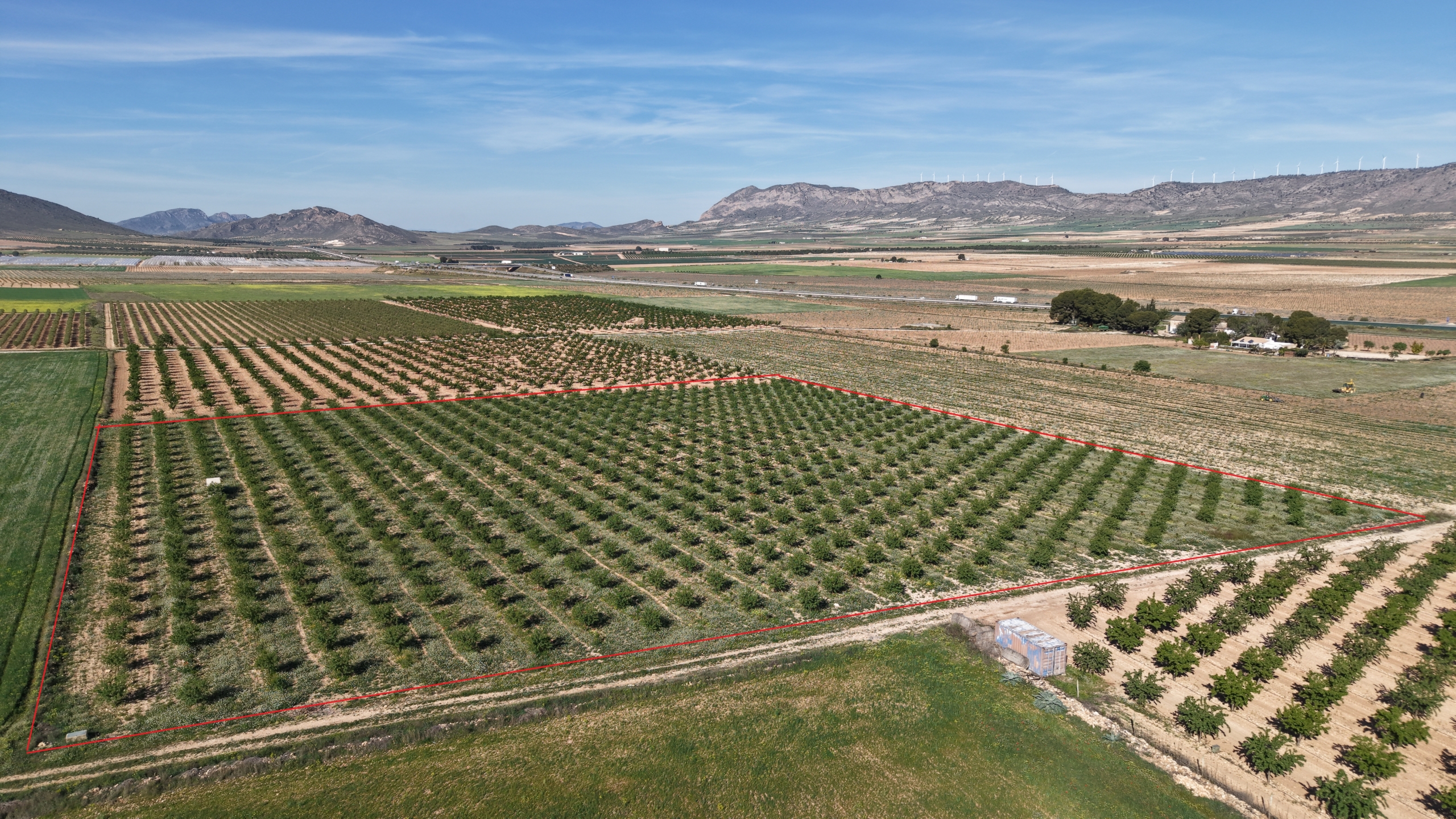 default Land te koop in Spanje: Bouwperceel van 21.625 m² met amandelbomen in Yecla (Murcia)