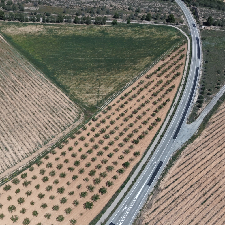 Bouwperceel te koop tussen Yecla & Pinoso: 38.802 m² met amandelbomen