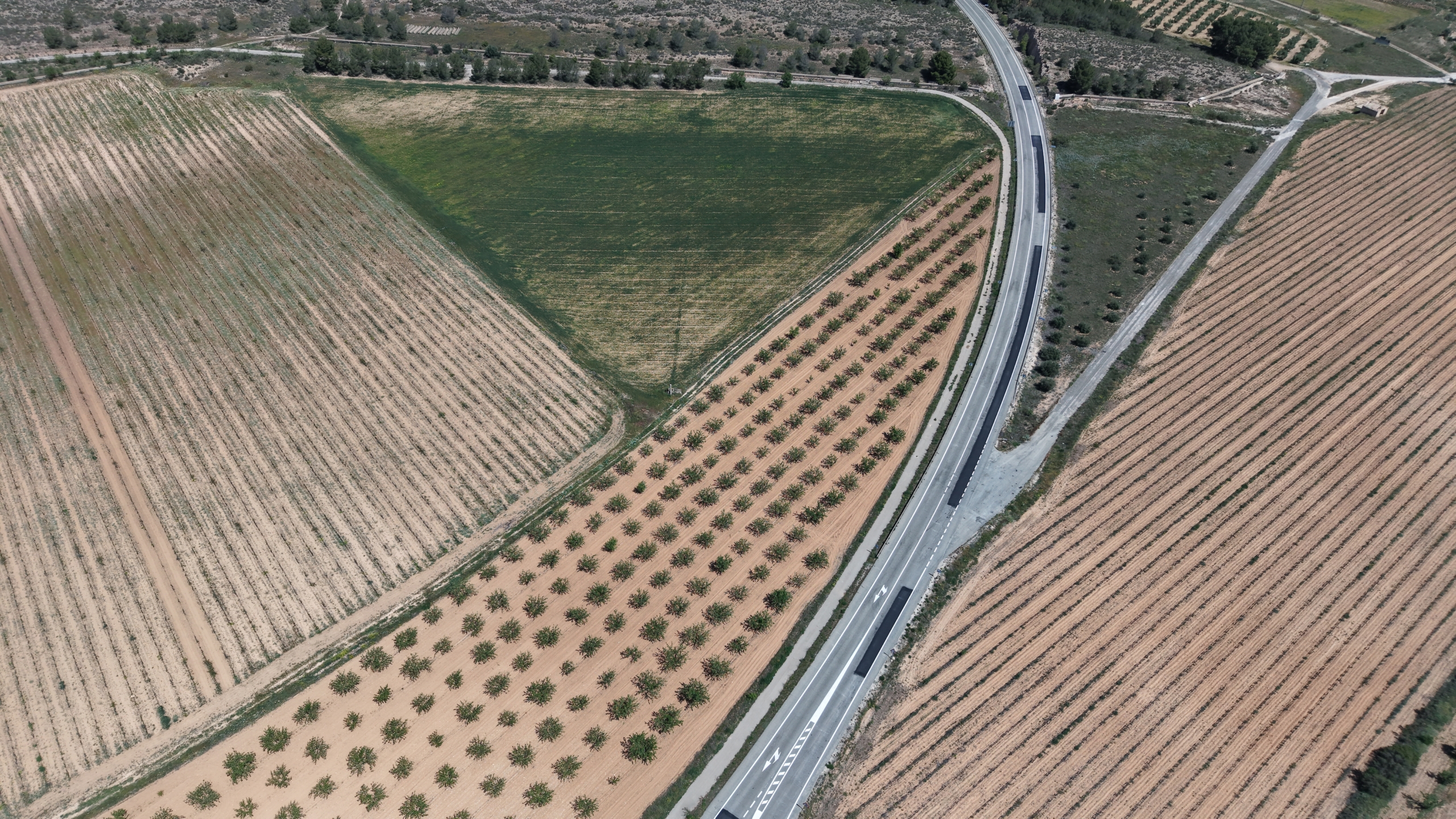 Bouwperceel te koop tussen Yecla & Pinoso: 38.802 m² met amandelbomen