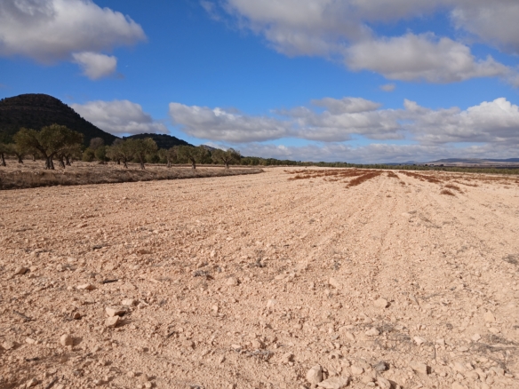 Unieke Investeringskans: Gigantisch Bouwperceel te Koop in Yecla (Murcia)