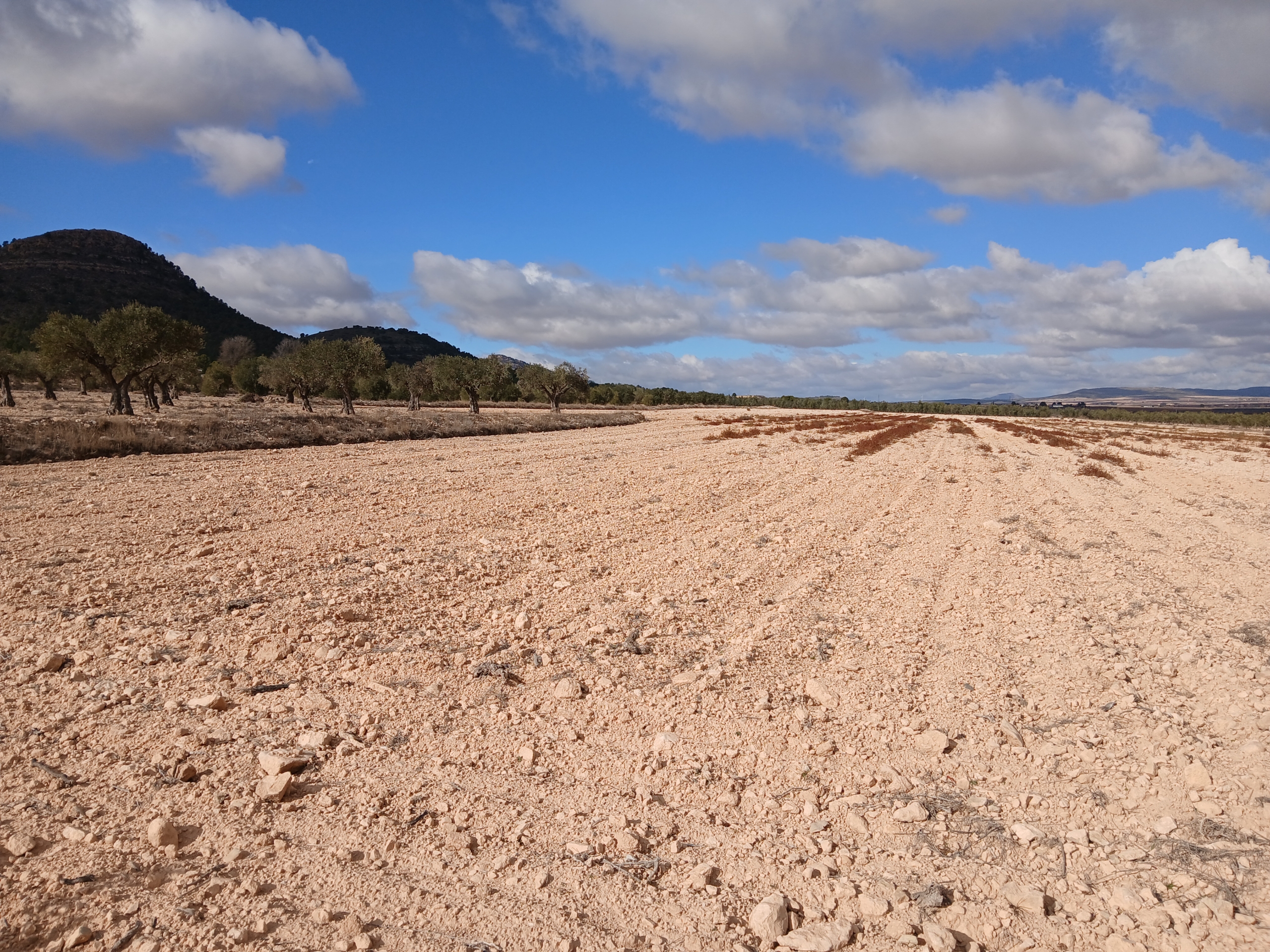 Unieke Investeringskans: Gigantisch Bouwperceel te Koop in Yecla (Murcia)
