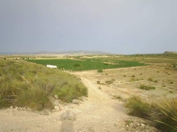Exclusieve Investeringskans: 60 Hectare Geïrrigeerd Landgoed in Yecla (Murcia)