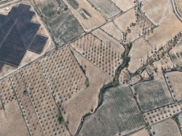 Groot Bouwperceel met Olijfgaard (15 ha) te Koop in Jumilla, Murcia