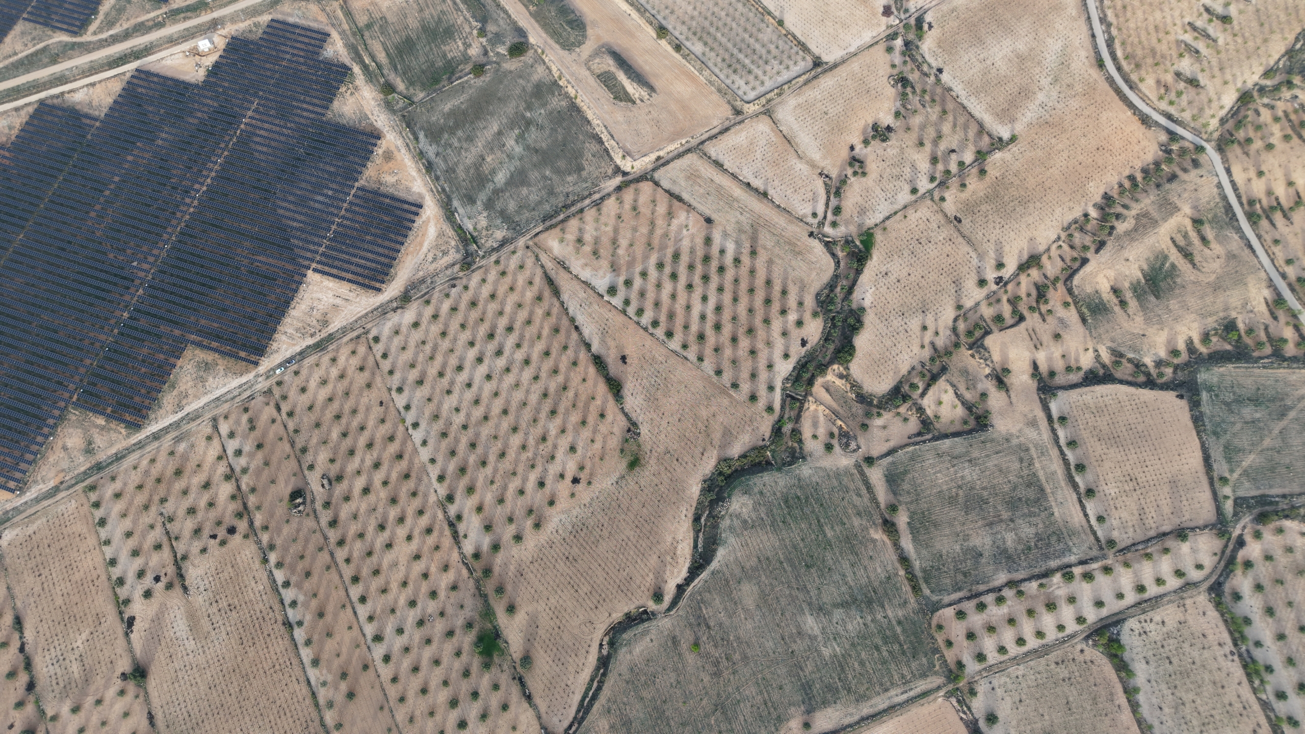 Groot Bouwperceel met Olijfgaard (15 ha) te Koop in Jumilla, Murcia