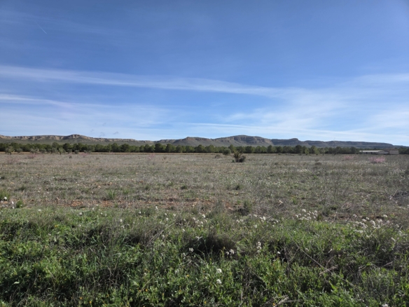 Prachtig vlak bouwperceel met panoramisch uitzicht in Yecla (Murcia)