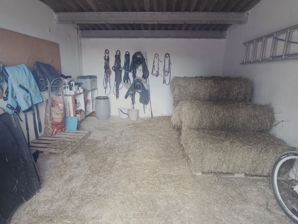 Karakteristiek Paardenobject met REGA-licentie in Monóvar