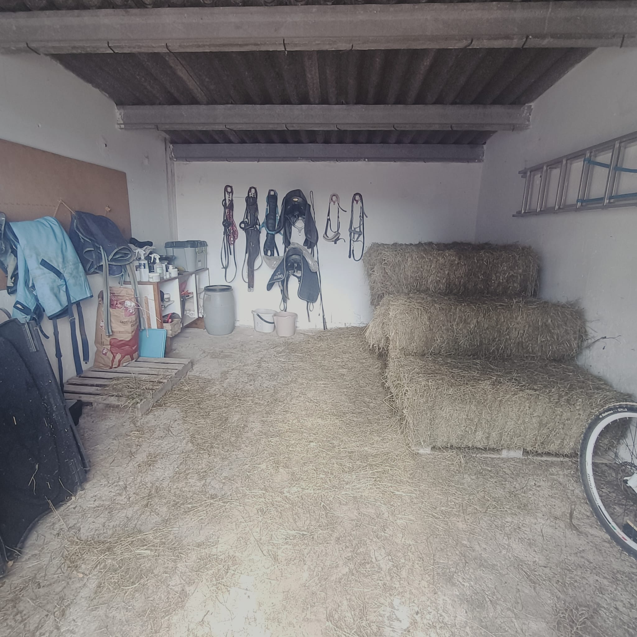Karakteristiek Paardenobject met REGA-licentie in Monóvar