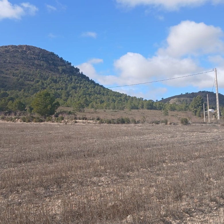 Unieke Investeringskans: Gigantisch Bouwperceel te Koop in Yecla (Murcia)