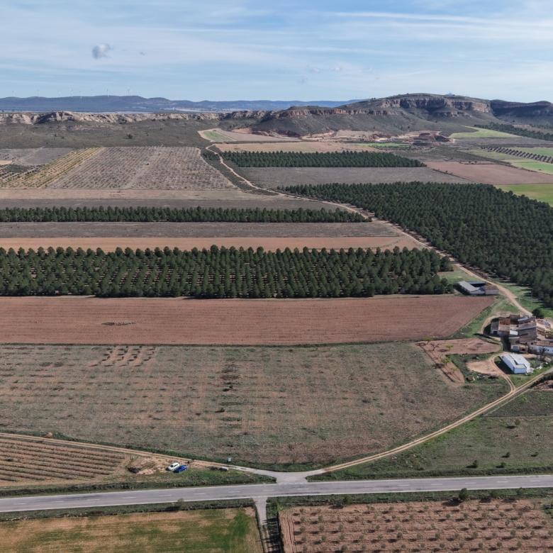 Prachtig vlak bouwperceel met panoramisch uitzicht in Yecla (Murcia)