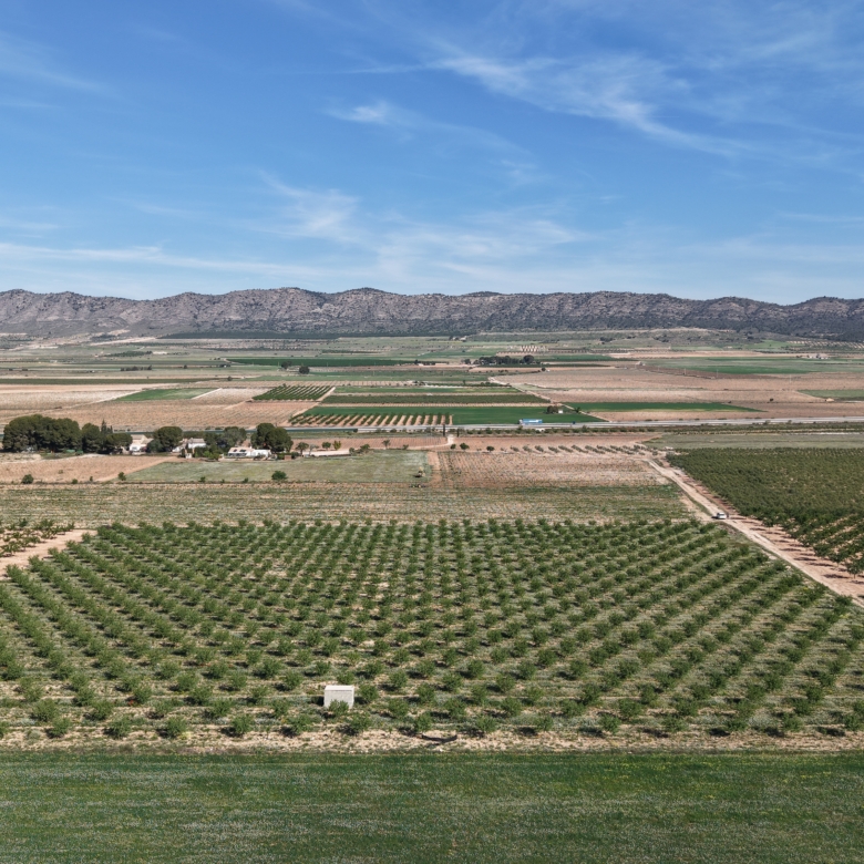 Land te koop in Spanje: Bouwperceel van 21.625 m² met amandelbomen in Yecla (Murcia)