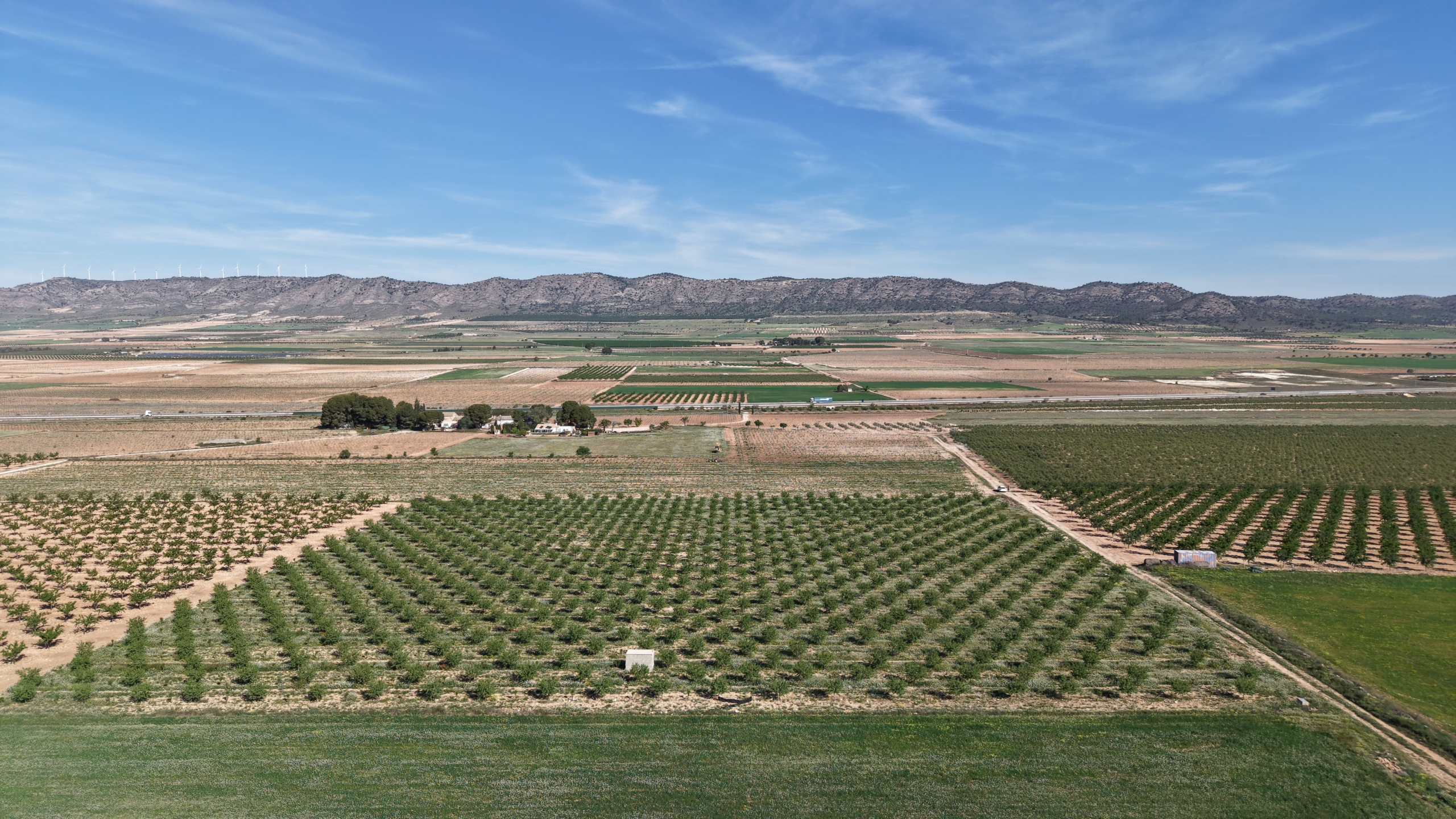 default Land te koop in Spanje: Bouwperceel van 21.625 m² met amandelbomen in Yecla (Murcia)