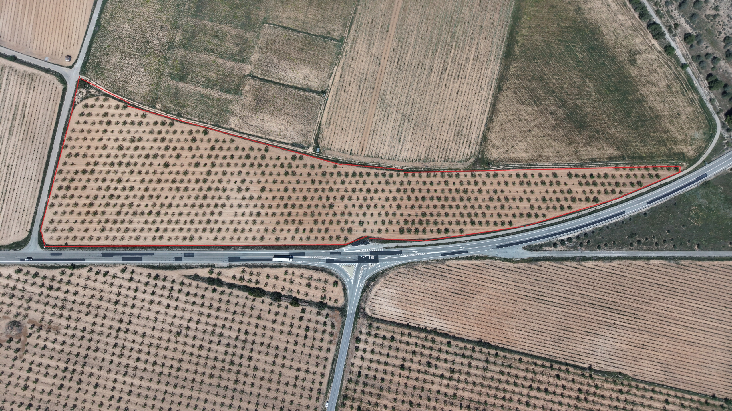 Bouwperceel te koop tussen Yecla & Pinoso: 38.802 m² met amandelbomen