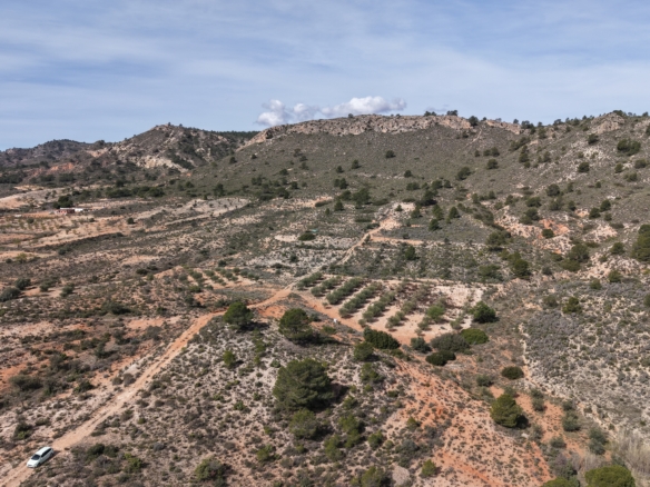 Bouwgrond te Koop in Yecla – Ruim Grondstuk (27.385 m²) met Panoramisch Uitzicht