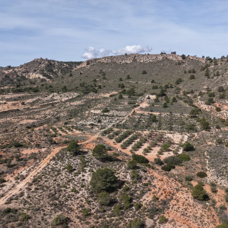 Bouwgrond te Koop in Yecla – Ruim Grondstuk (27.385 m²) met Panoramisch Uitzicht