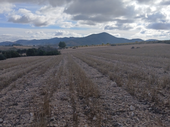 Unieke Investeringskans: Gigantisch Bouwperceel te Koop in Yecla (Murcia)