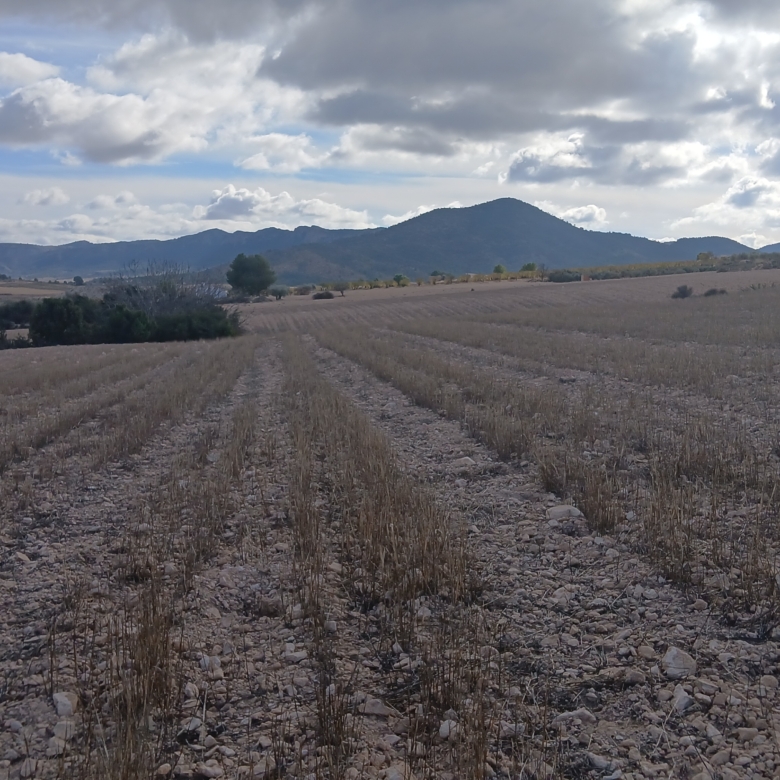 Unieke Investeringskans: Gigantisch Bouwperceel te Koop in Yecla (Murcia)
