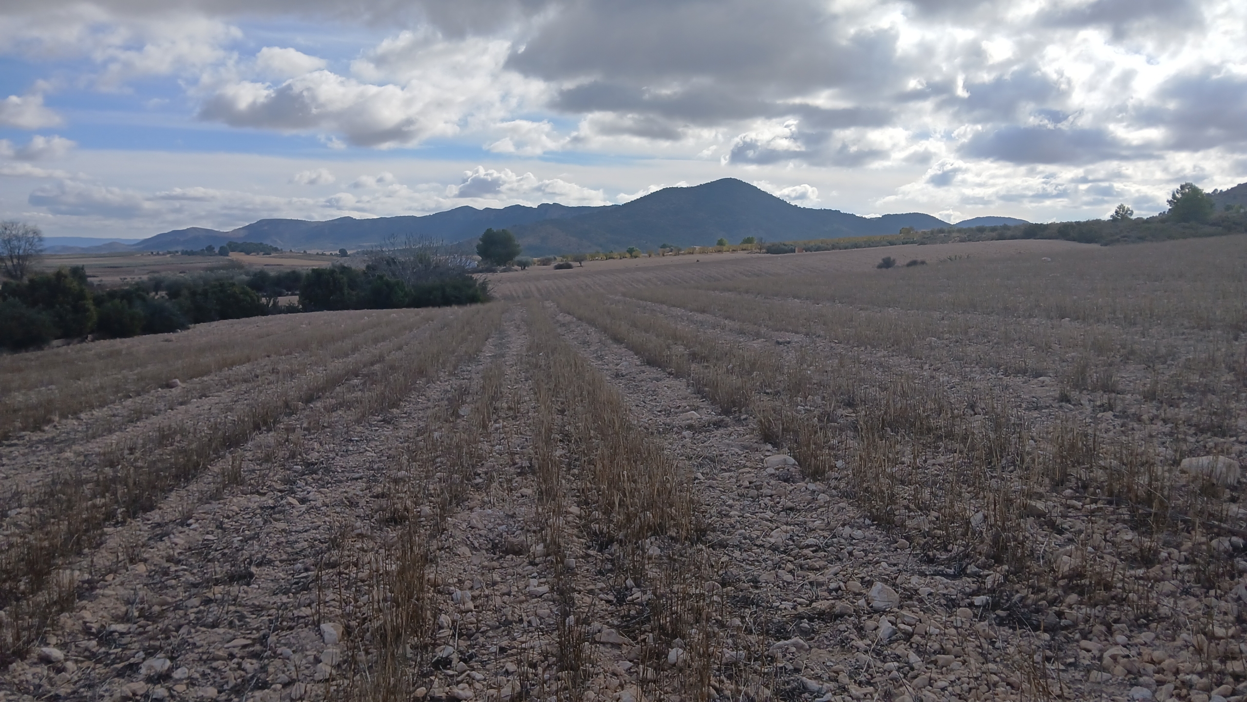 Unieke Investeringskans: Gigantisch Bouwperceel te Koop in Yecla (Murcia)
