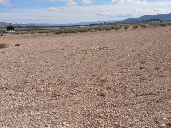 Unieke Investeringskans: Gigantisch Bouwperceel te Koop in Yecla (Murcia)