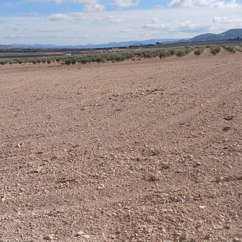 Unieke Investeringskans: Gigantisch Bouwperceel te Koop in Yecla (Murcia)