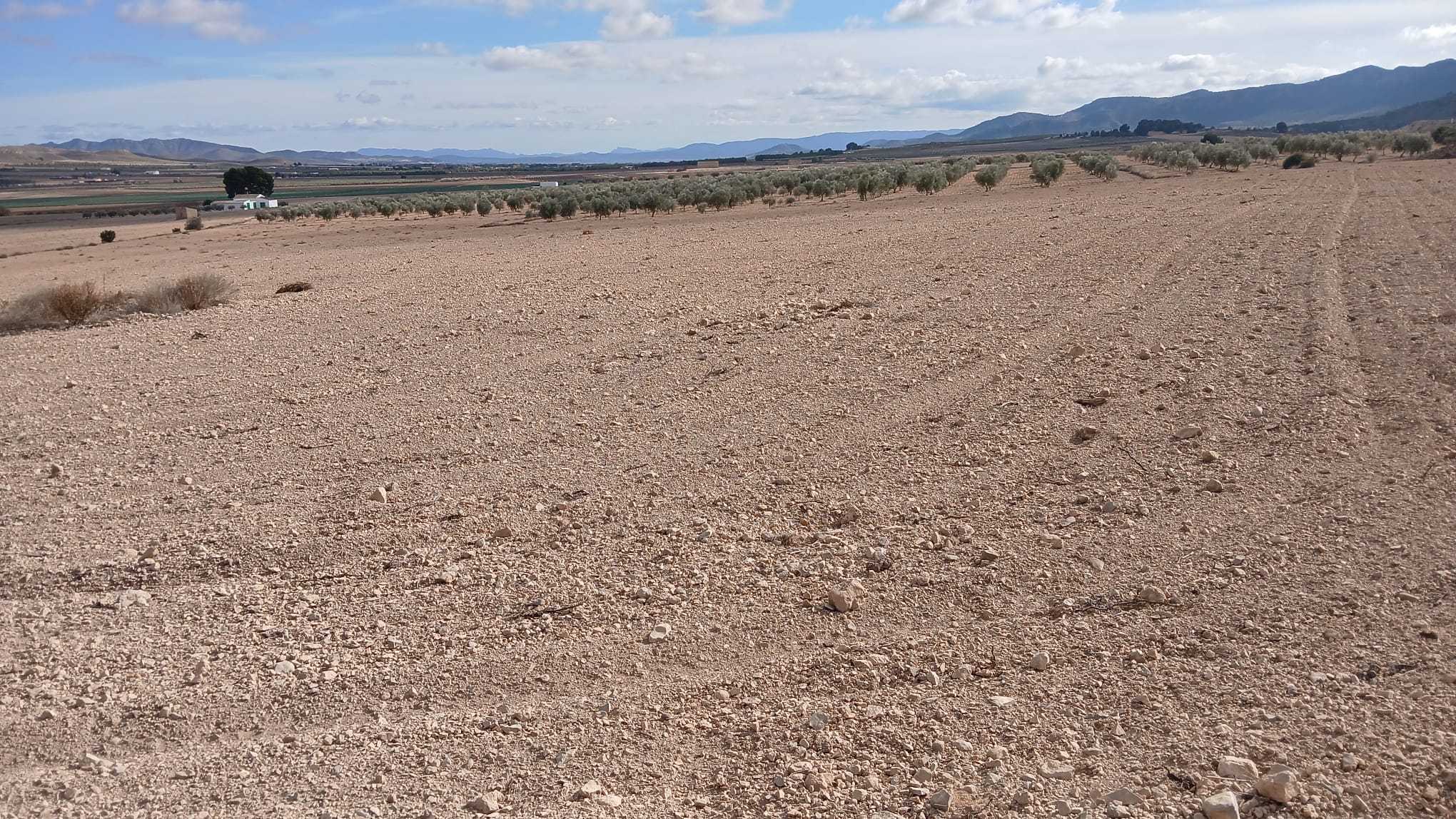 Unieke Investeringskans: Gigantisch Bouwperceel te Koop in Yecla (Murcia)