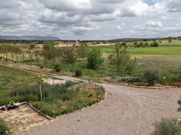 B&B te koop in Almansa: Unieke Off-grid Finca met Toeristische Licentie