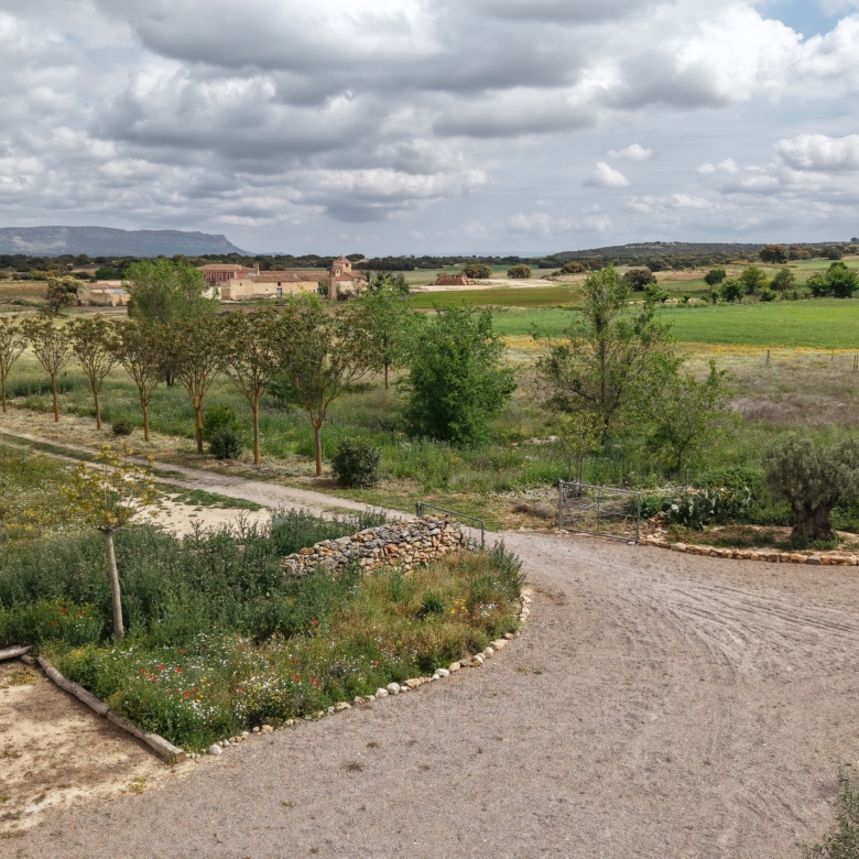 B&B te koop in Almansa: Unieke Off-grid Finca met Toeristische Licentie