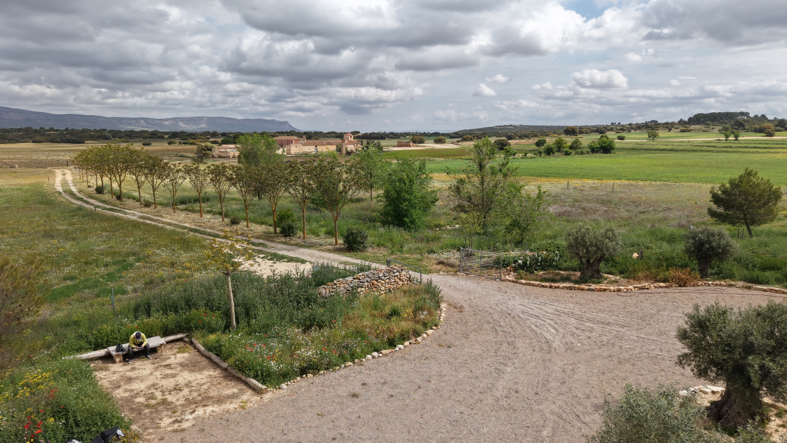 B&B te koop in Almansa: Unieke Off-grid Finca met Toeristische Licentie