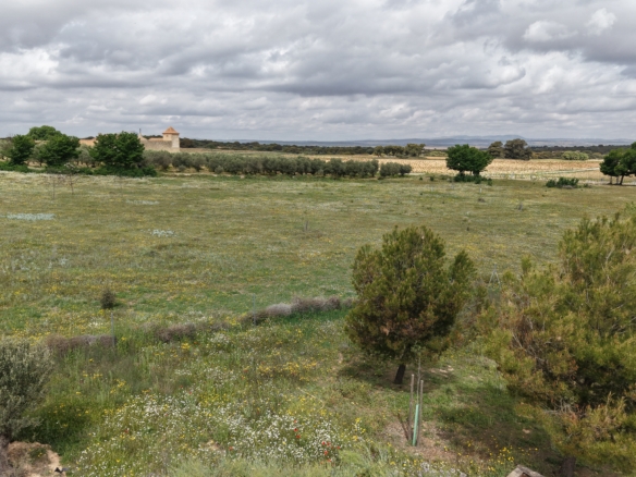 B&B te koop in Almansa: Unieke Off-grid Finca met Toeristische Licentie