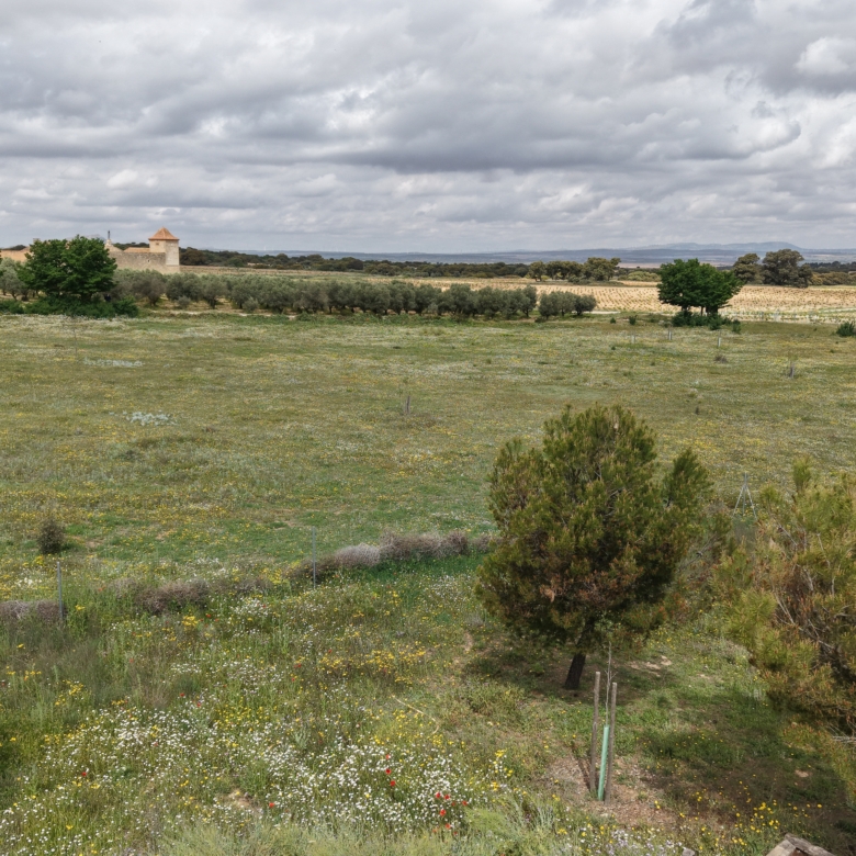 B&B te koop in Almansa: Unieke Off-grid Finca met Toeristische Licentie