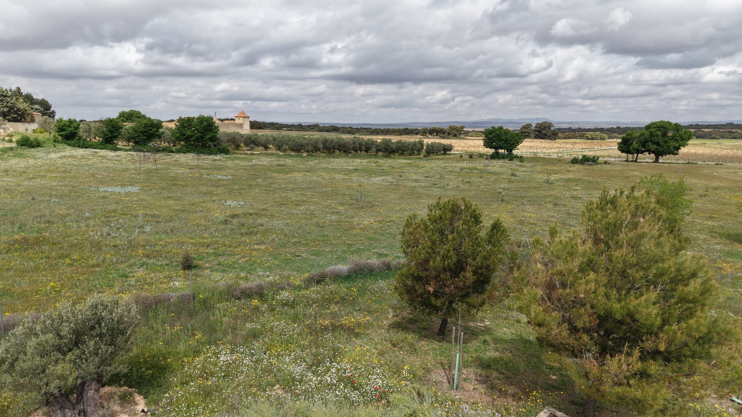 B&B te koop in Almansa: Unieke Off-grid Finca met Toeristische Licentie