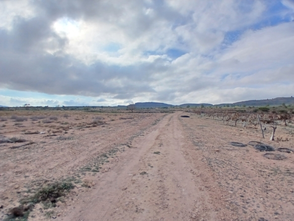 Exclusieve Investeringskans: 60 Hectare Geïrrigeerd Landgoed in Yecla (Murcia)
