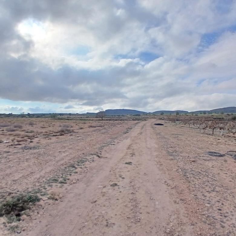 Exclusieve Investeringskans: 60 Hectare Geïrrigeerd Landgoed in Yecla (Murcia)