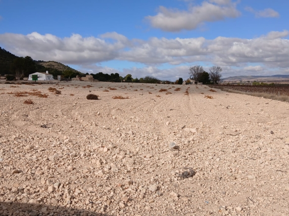 Unieke Investeringskans: Gigantisch Bouwperceel te Koop in Yecla (Murcia)