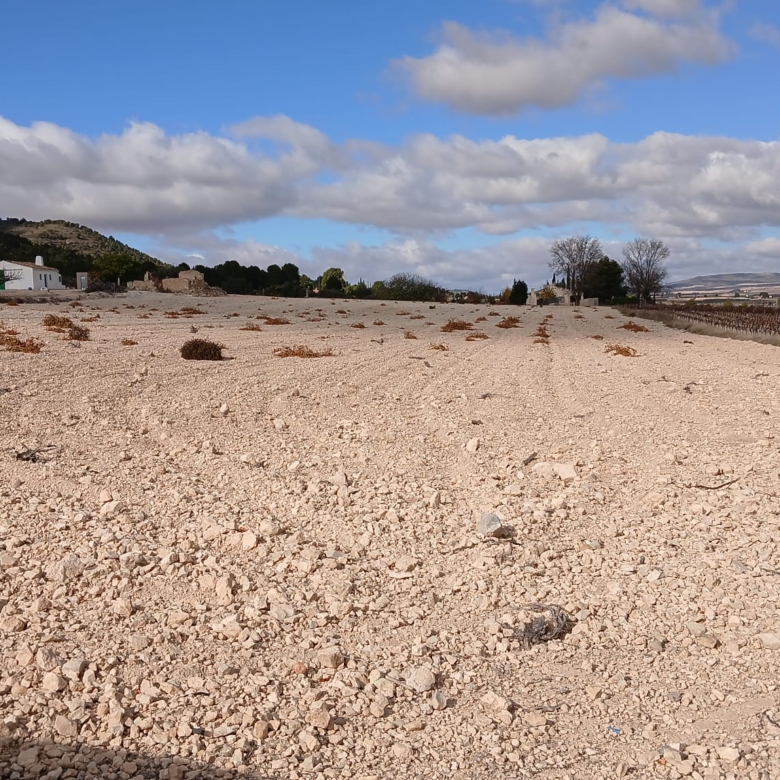 Unieke Investeringskans: Gigantisch Bouwperceel te Koop in Yecla (Murcia)