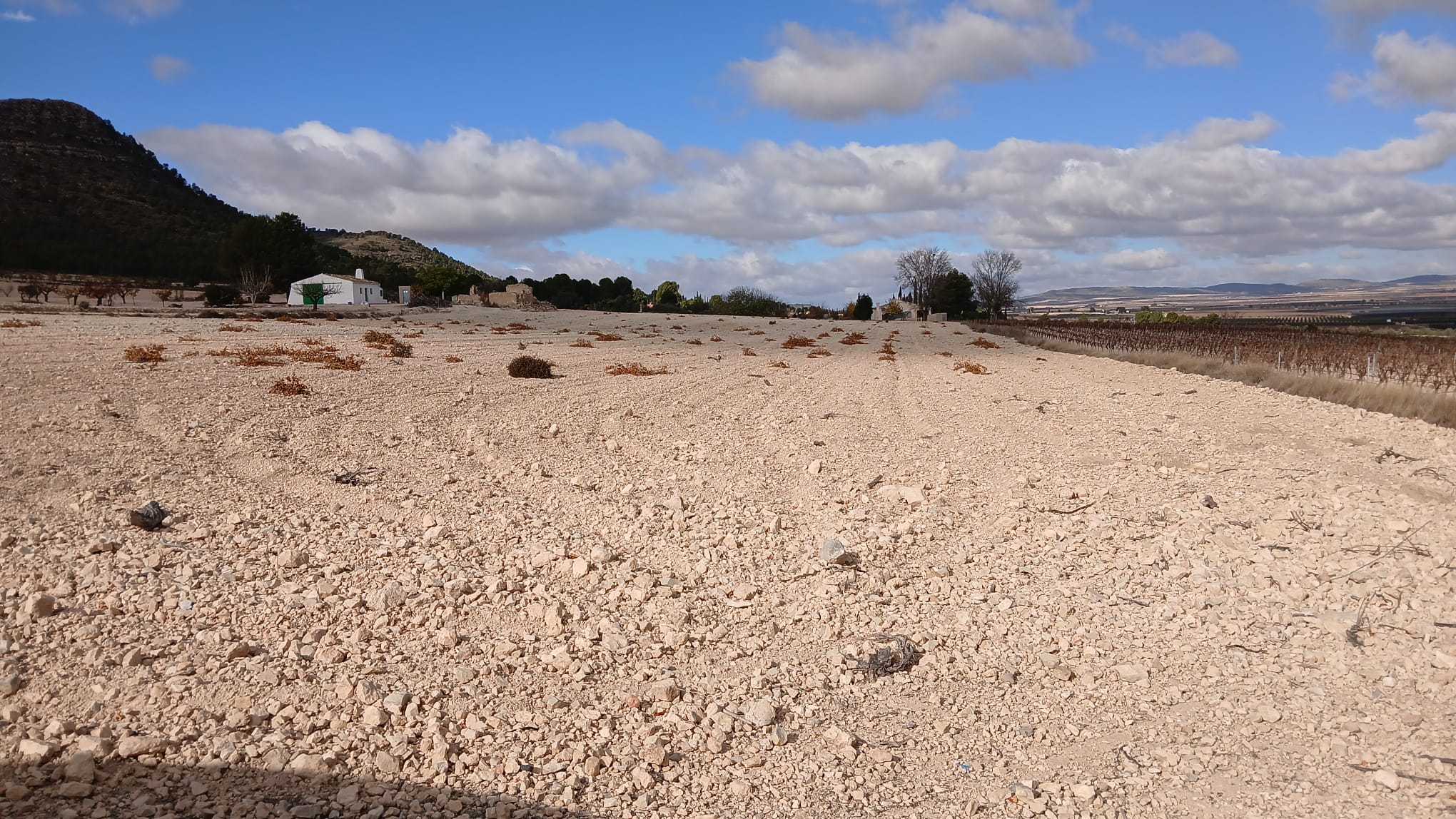 Unieke Investeringskans: Gigantisch Bouwperceel te Koop in Yecla (Murcia)