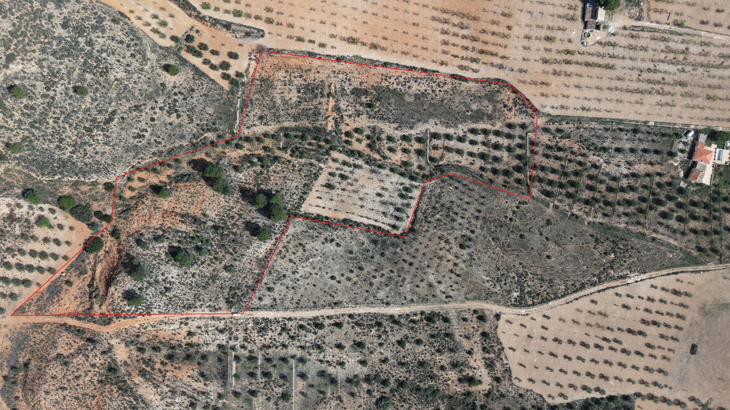 Bouwgrond te Koop in Yecla – Ruim Grondstuk (27.385 m²) met Panoramisch Uitzicht