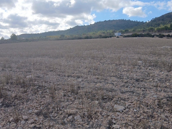 Unieke Investeringskans: Gigantisch Bouwperceel te Koop in Yecla (Murcia)