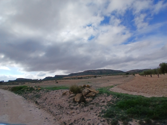 Exclusieve Investeringskans: 60 Hectare Geïrrigeerd Landgoed in Yecla (Murcia)