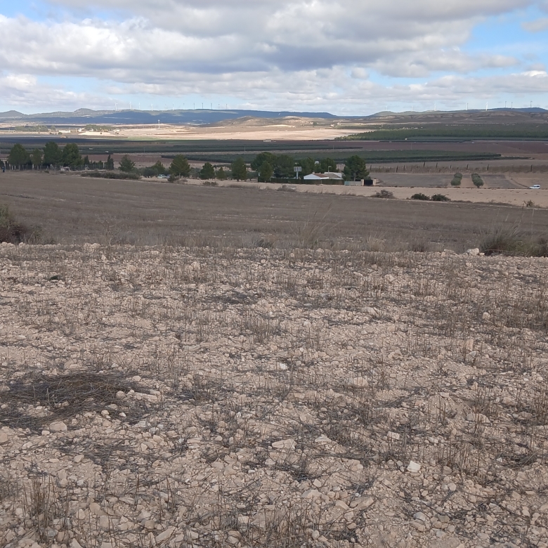 Unieke Investeringskans: Gigantisch Bouwperceel te Koop in Yecla (Murcia)