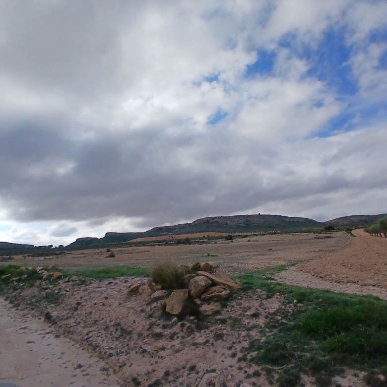 Exclusieve Investeringskans: 60 Hectare Geïrrigeerd Landgoed in Yecla (Murcia)
