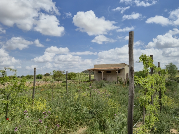 B&B te koop in Almansa: Unieke Off-grid Finca met Toeristische Licentie