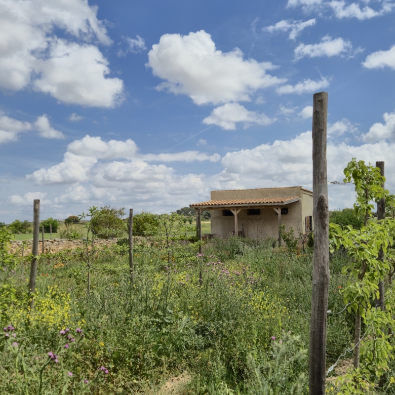 B&B te koop in Almansa: Unieke Off-grid Finca met Toeristische Licentie