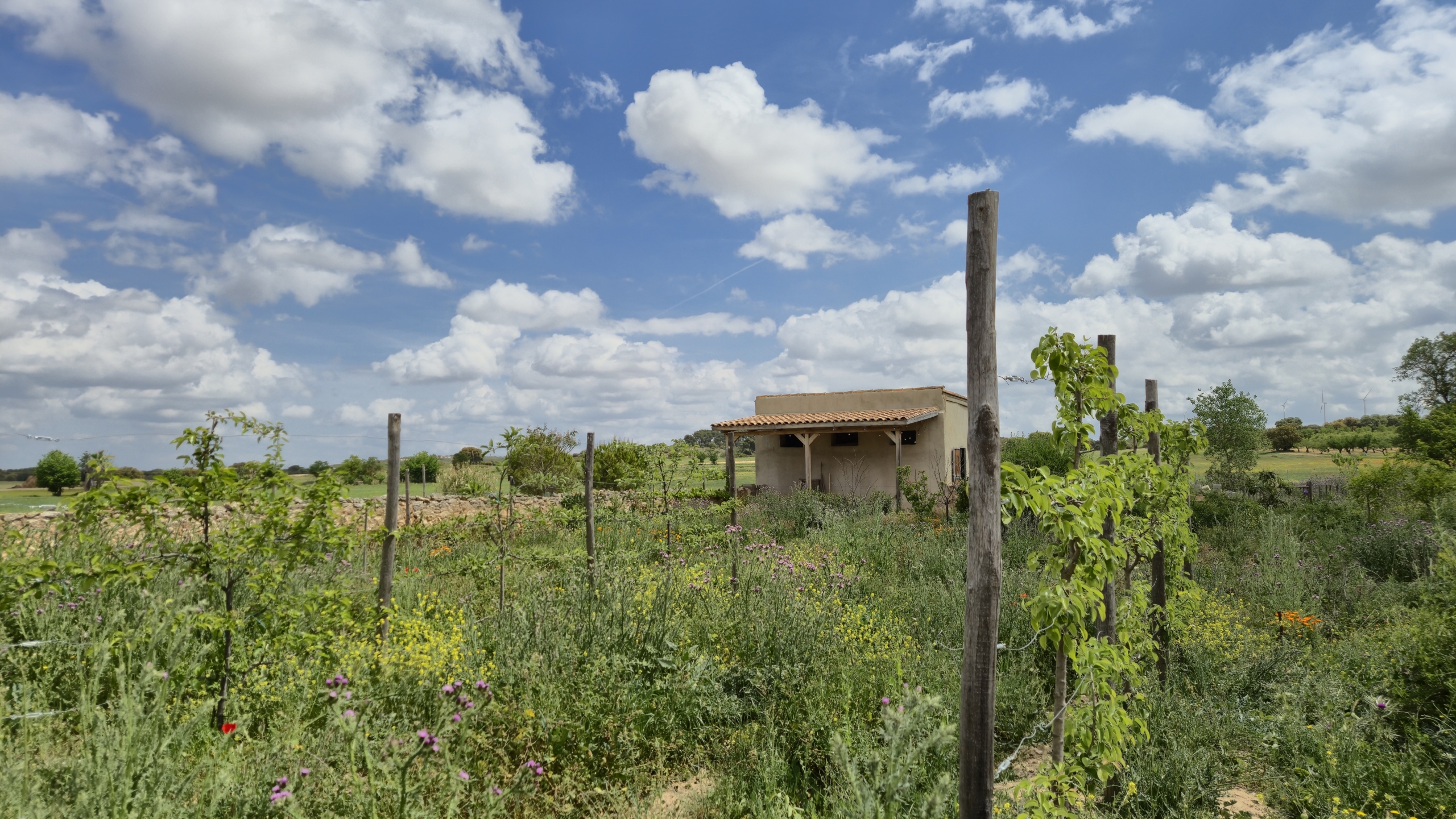 B&B te koop in Almansa: Unieke Off-grid Finca met Toeristische Licentie