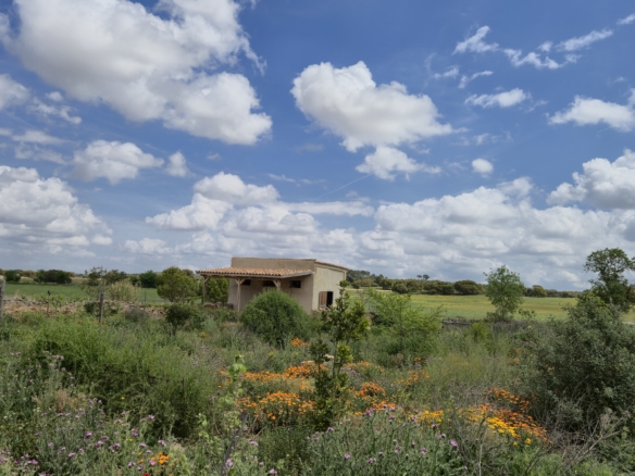 B&B te koop in Almansa: Unieke Off-grid Finca met Toeristische Licentie