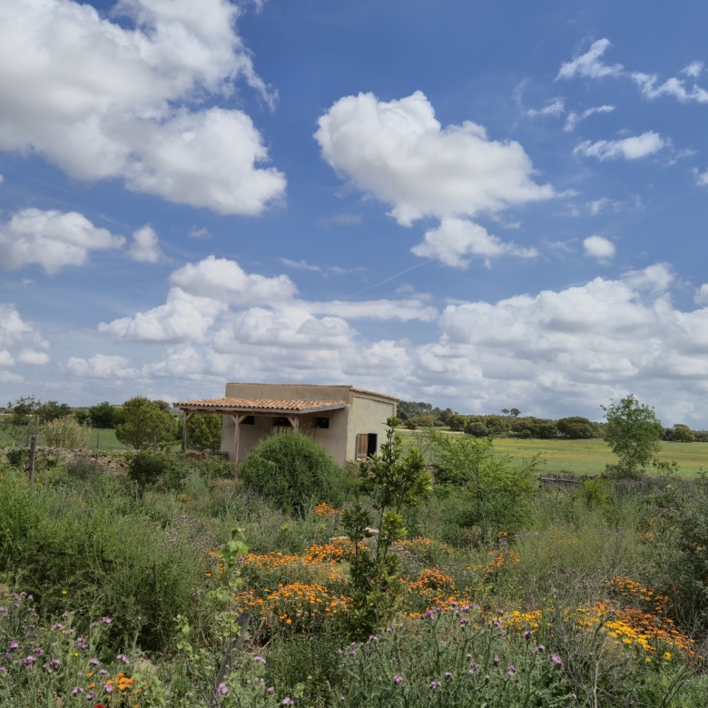B&B te koop in Almansa: Unieke Off-grid Finca met Toeristische Licentie