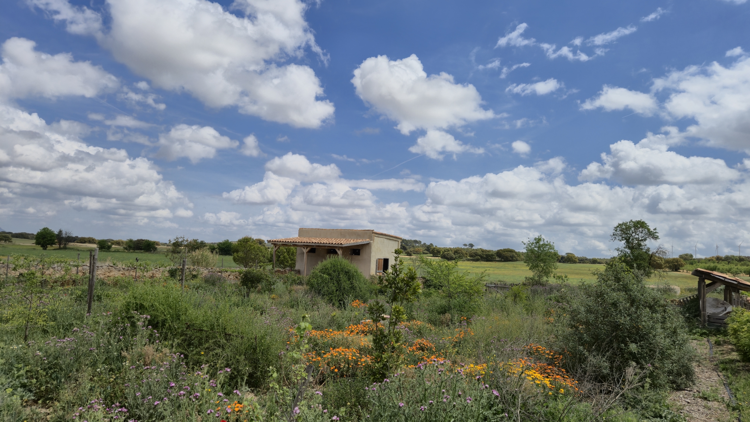 B&B te koop in Almansa: Unieke Off-grid Finca met Toeristische Licentie