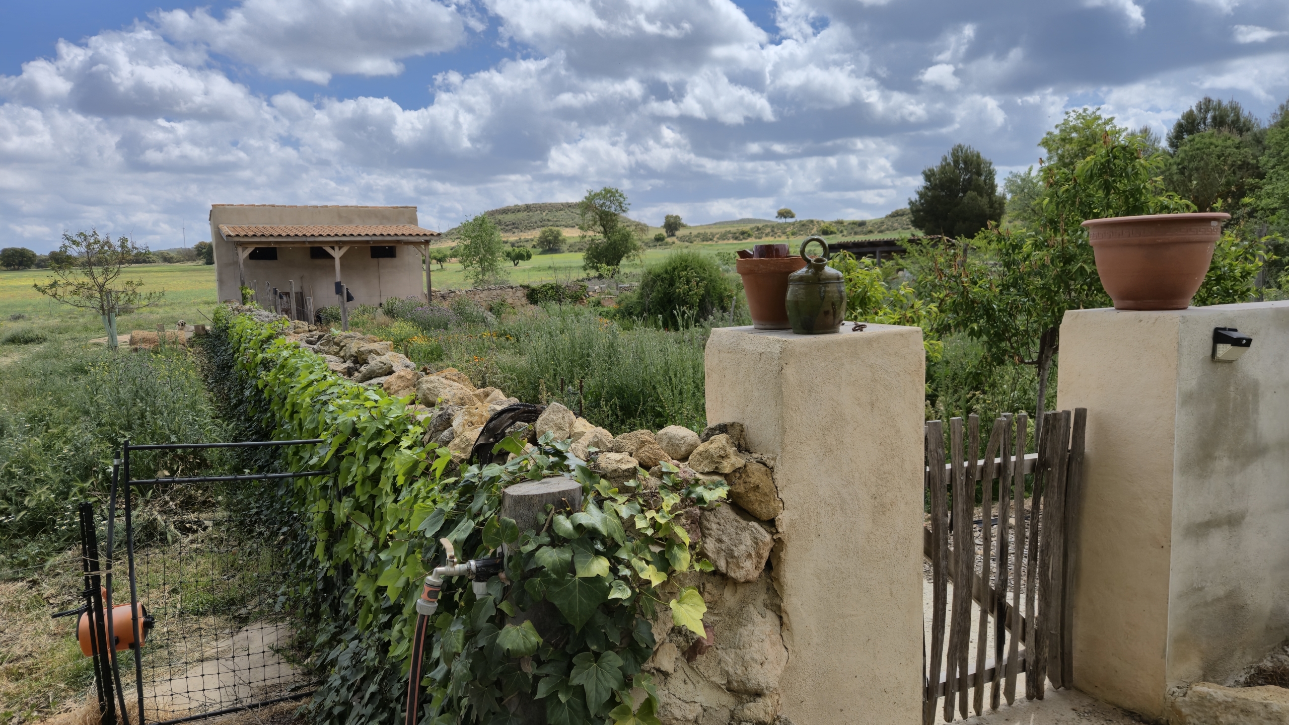 B&B te koop in Almansa: Unieke Off-grid Finca met Toeristische Licentie