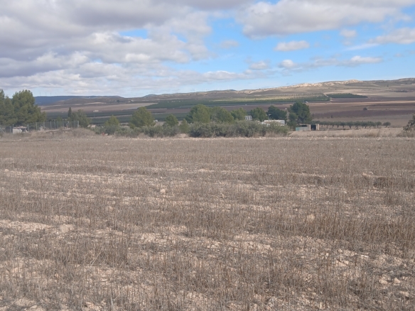 Unieke Investeringskans: Gigantisch Bouwperceel te Koop in Yecla (Murcia)