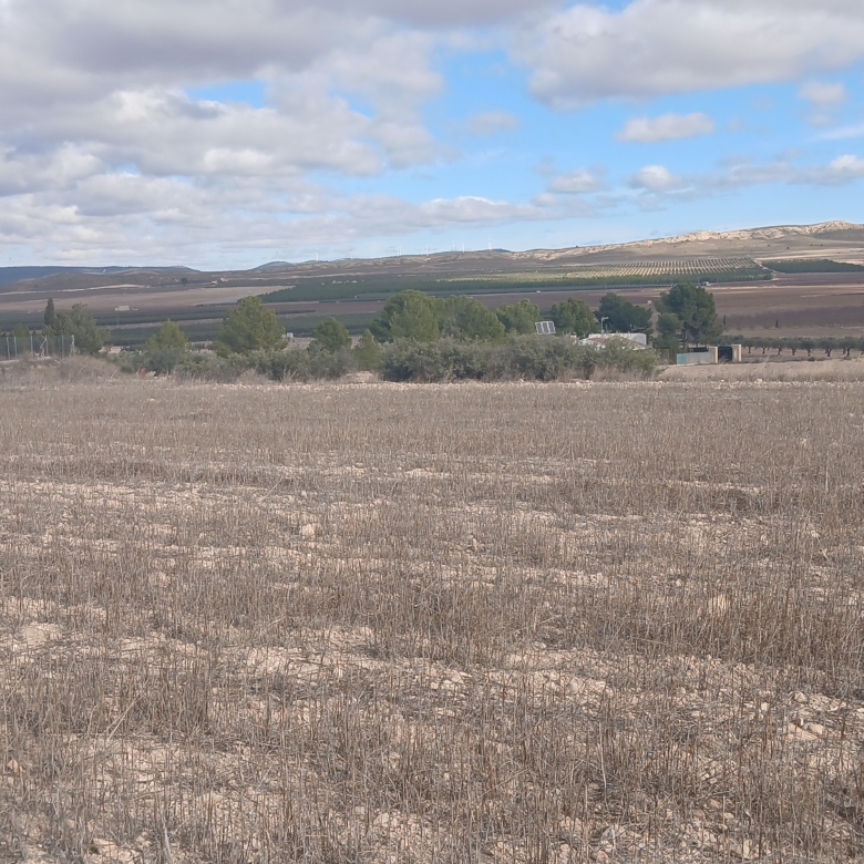 Unieke Investeringskans: Gigantisch Bouwperceel te Koop in Yecla (Murcia)