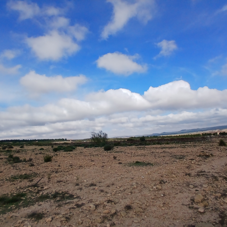 Exclusieve Investeringskans: 60 Hectare Geïrrigeerd Landgoed in Yecla (Murcia)